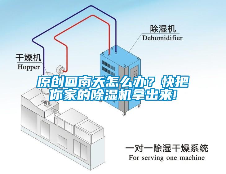 原创回南天怎么办？快把你家的草莓视频APP在线观看拿出来!