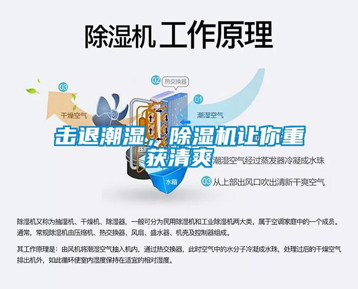 击退潮湿，草莓视频APP在线观看让你重获清爽