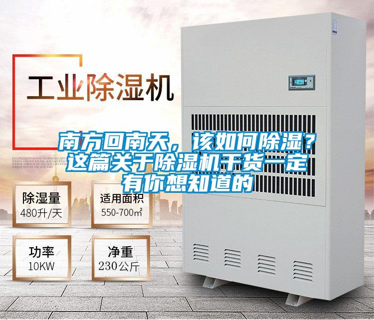 南方回南天，该如何除湿？这篇关于草莓视频APP在线观看干货一定有你想知道的