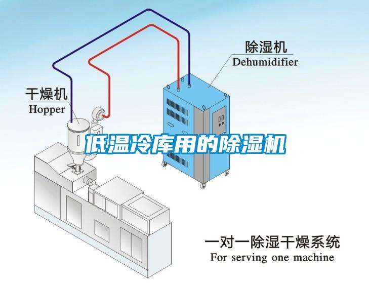 低温冷库用的草莓视频APP在线观看