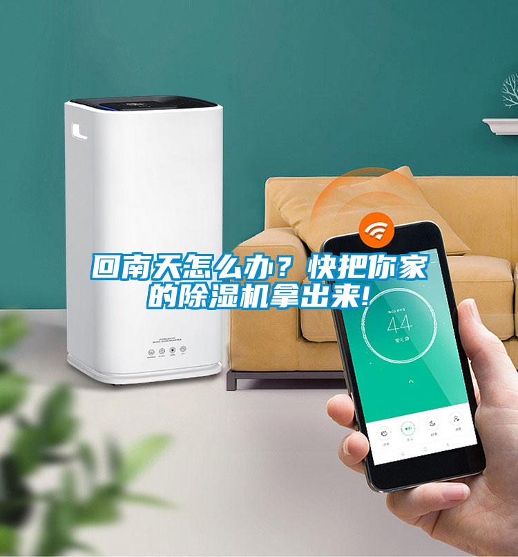 回南天怎么办？快把你家的草莓视频APP在线观看拿出来!
