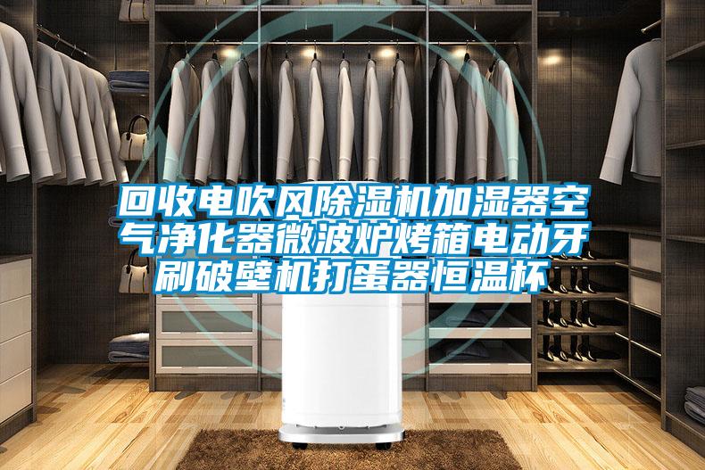 回收电吹风草莓视频APP在线观看加湿器空气净化器微波炉烤箱电动牙刷破壁机打蛋器恒温杯