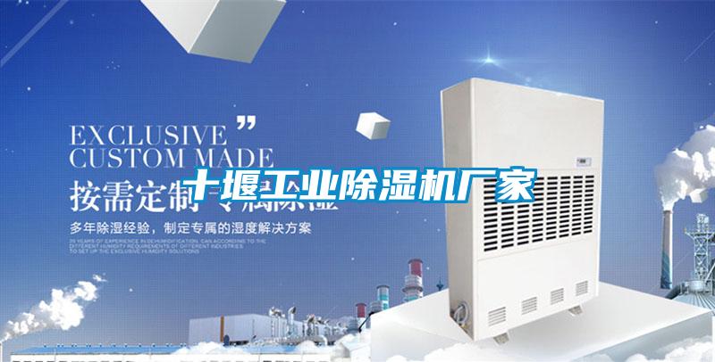 十堰工业草莓视频APP在线观看厂家