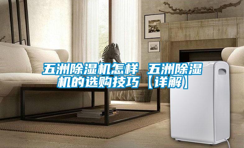 五洲草莓视频APP在线观看怎样 五洲草莓视频APP在线观看的选购技巧【详解】
