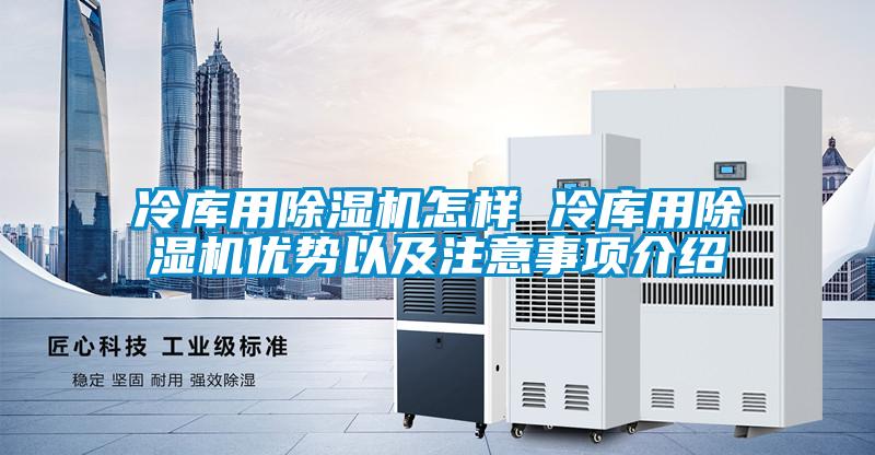 冷库用草莓视频APP在线观看怎样 冷库用草莓视频APP在线观看优势以及注意事项介绍