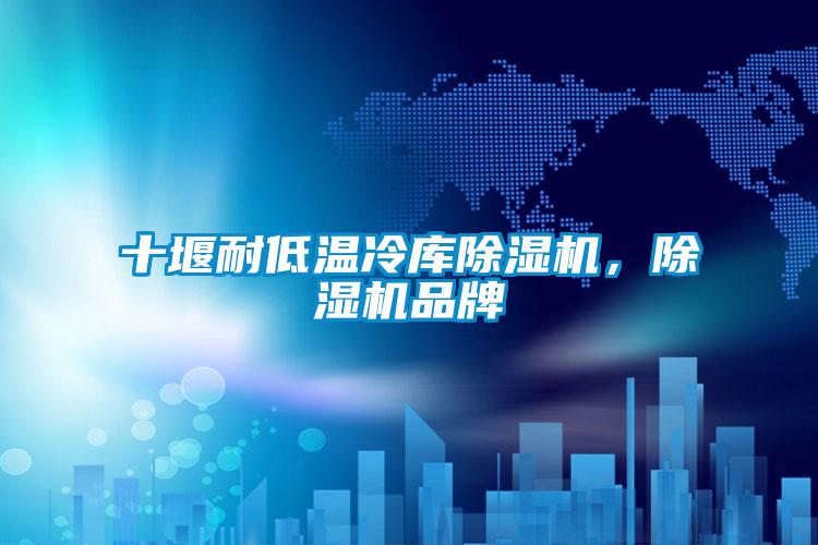 十堰耐低温冷库草莓视频APP在线观看，草莓视频APP在线观看品牌