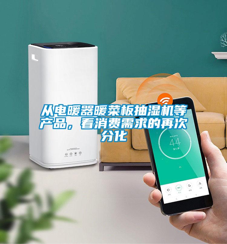 从电暖器暖菜板抽湿机等产品，看消费需求的再次分化
