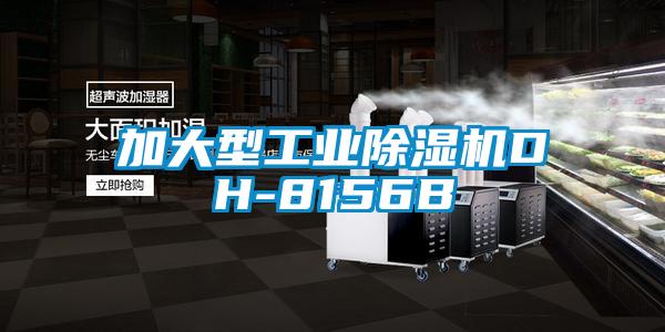 加大型工业草莓视频APP在线观看DH-8156B