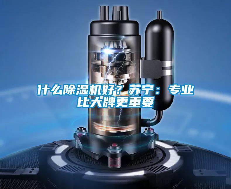 什么草莓视频APP在线观看好？苏宁：专业比大牌更重要