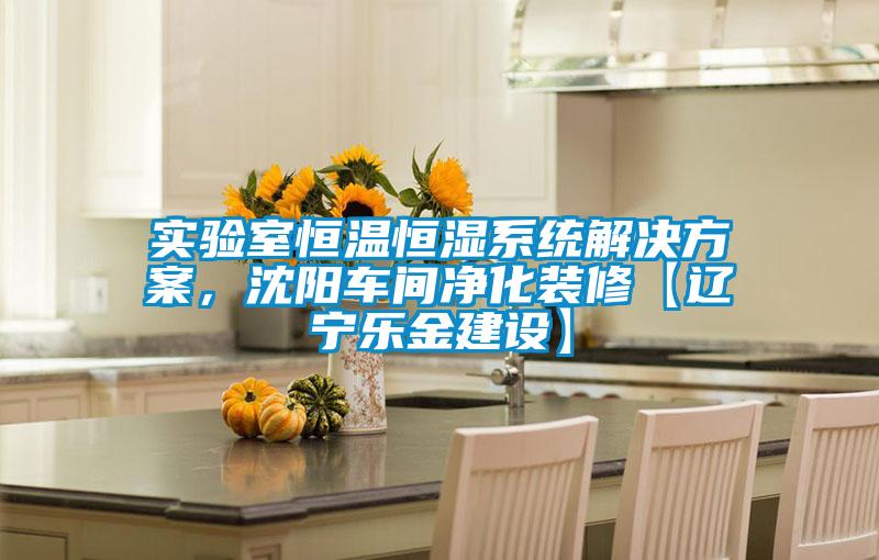 实验室恒温恒湿系统草莓成人在线观看，沈阳车间净化装修【辽宁乐金建设】