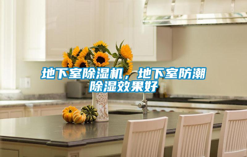 地下室草莓视频APP在线观看，地下室防潮除湿效果好