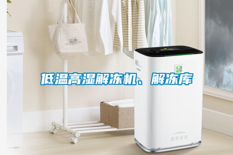 低温高湿解冻机、解冻库