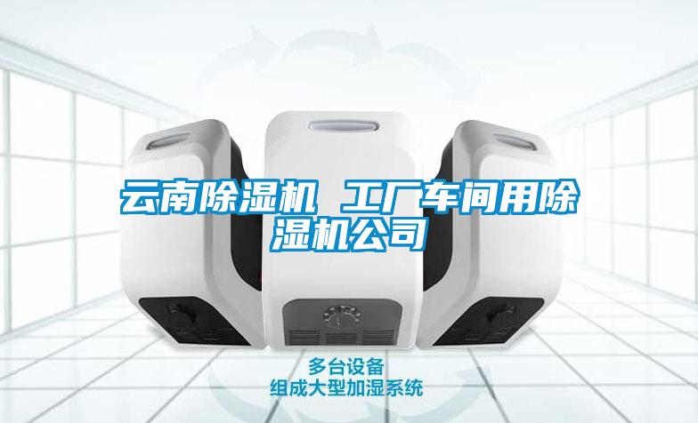 云南草莓视频APP在线观看 工厂车间用草莓视频APP在线观看公司