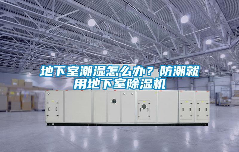 地下室潮湿怎么办？防潮就用地下室草莓视频APP在线观看