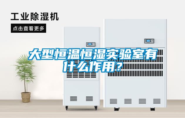 大型恒温恒湿实验室有什么作用？