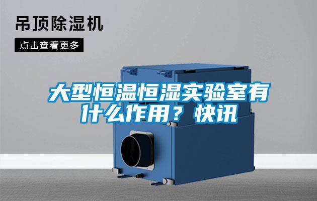 大型恒温恒湿实验室有什么作用？快讯