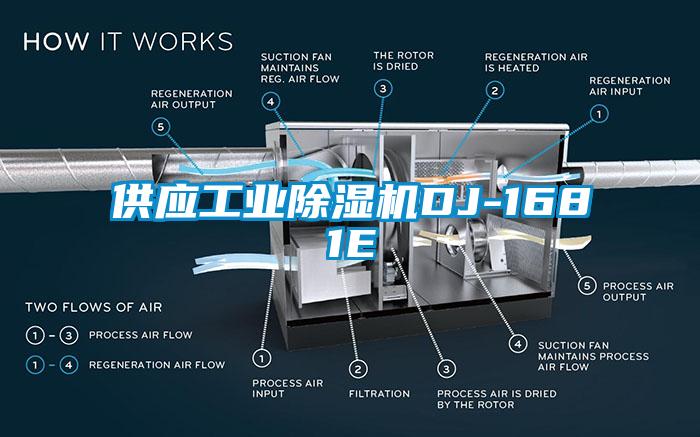 供应工业草莓视频APP在线观看DJ-1681E