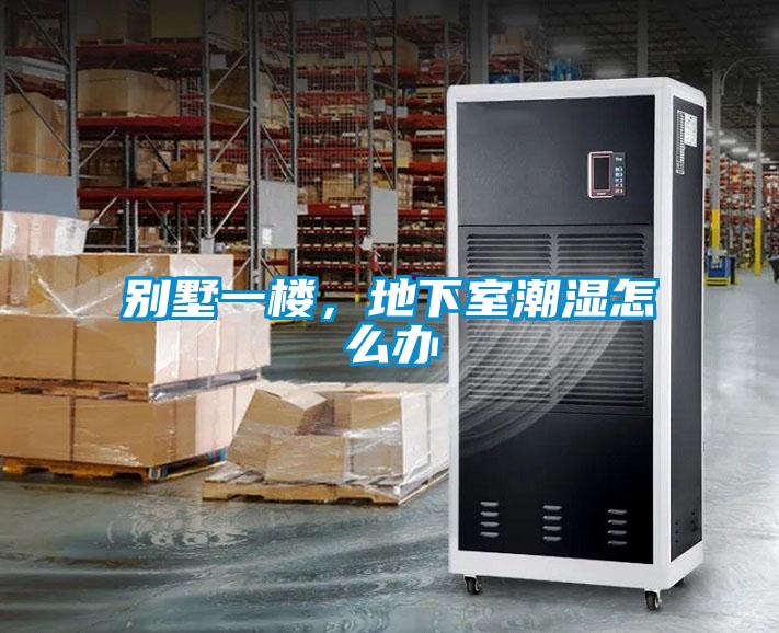 别墅一楼，地下室潮湿怎么办