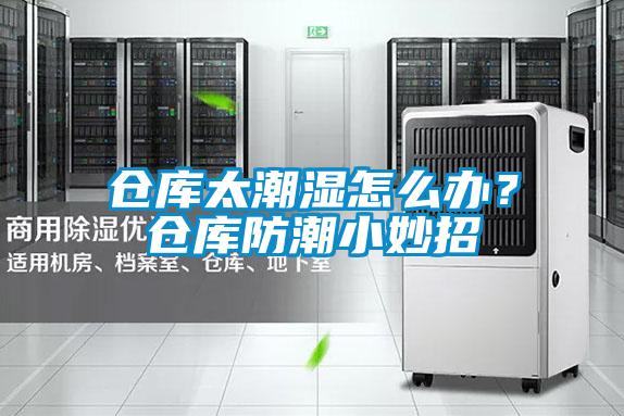 仓库太潮湿怎么办？仓库防潮小妙招