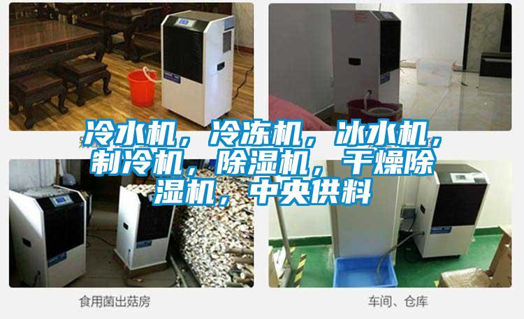 冷水机，冷冻机，冰水机，制冷机，草莓视频APP在线观看，干燥草莓视频APP在线观看，中央供料