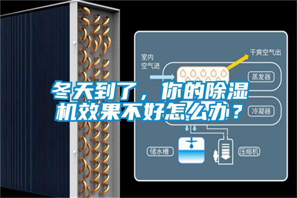冬天到了，你的草莓视频APP在线观看效果不好怎么办？