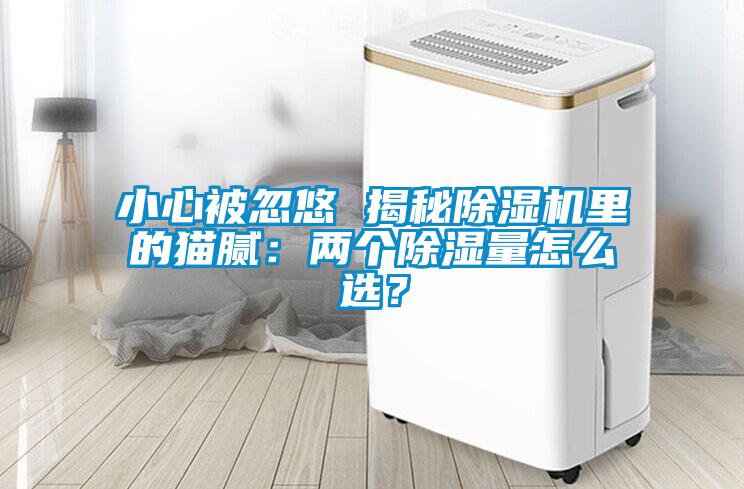 小心被忽悠 揭秘草莓视频APP在线观看里的猫腻：两个除湿量怎么选？