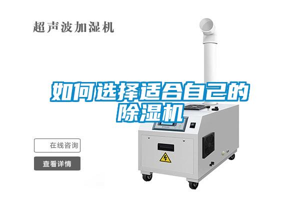 如何选择适合自己的草莓视频APP在线观看