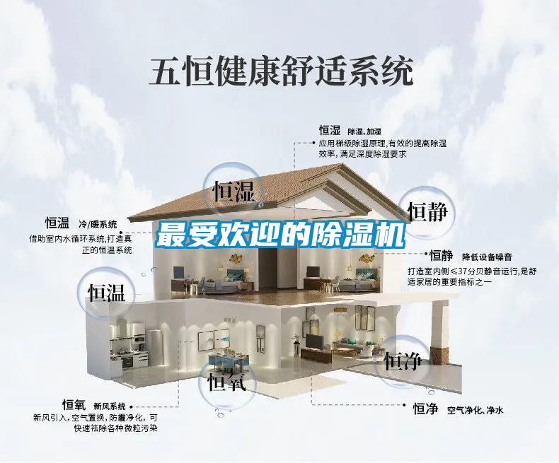 最受欢迎的草莓视频APP在线观看