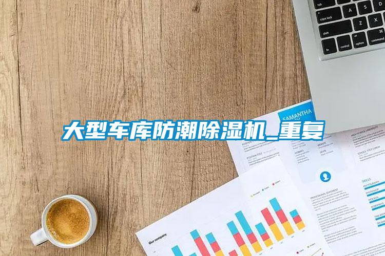 大型车库防潮草莓视频APP在线观看_重复