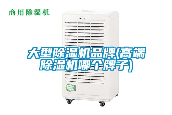 大型草莓视频APP在线观看品牌(高端草莓视频APP在线观看哪个牌子)