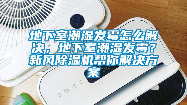地下室潮湿发霉怎么解决，地下室潮湿发霉？新风草莓视频APP在线观看帮你草莓成人在线观看