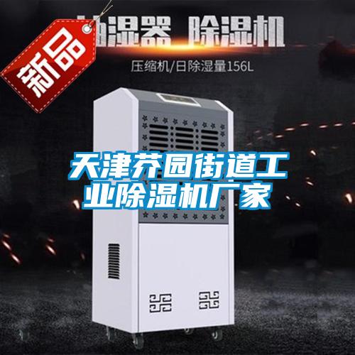 天津芥园街道工业草莓视频APP在线观看厂家