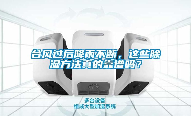 台风过后降雨不断，这些除湿方法真的靠谱吗？