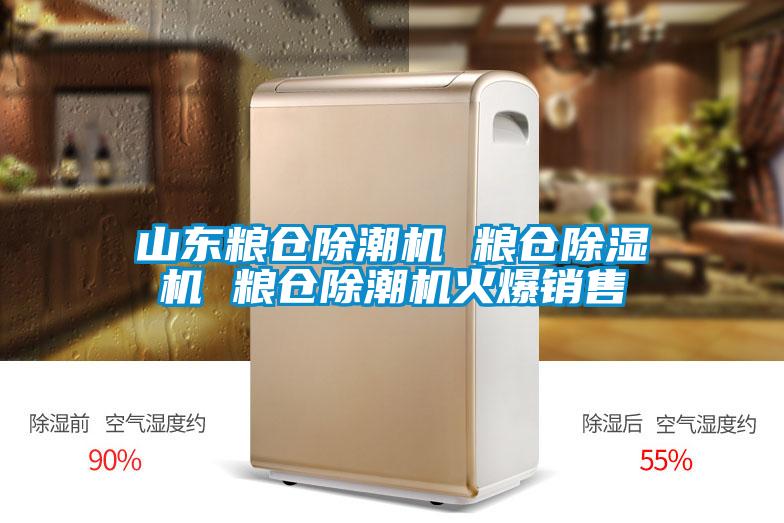 山东粮仓除潮机 粮仓草莓视频APP在线观看 粮仓除潮机火爆销售