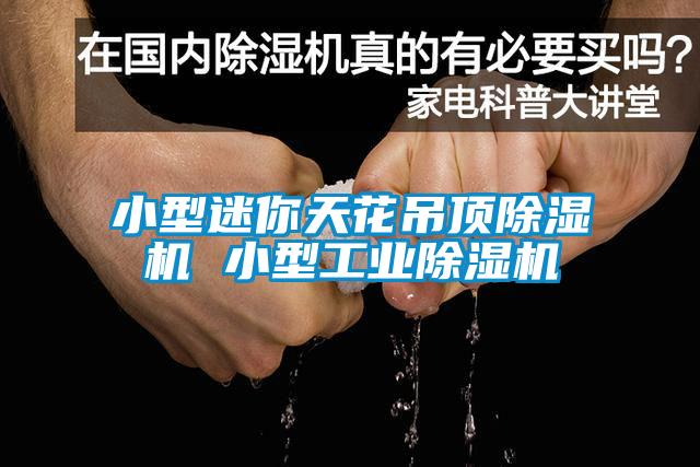 小型迷你天花吊顶草莓视频APP在线观看 小型工业草莓视频APP在线观看