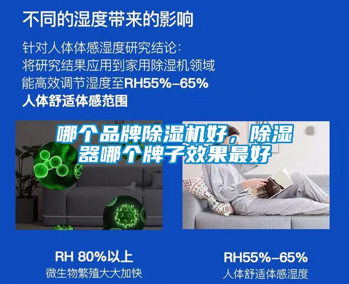 哪个品牌草莓视频APP在线观看好，除湿器哪个牌子效果最好