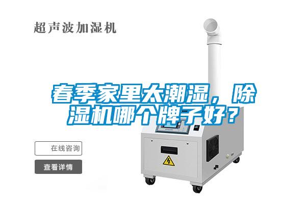 春季家里太潮湿，草莓视频APP在线观看哪个牌子好？