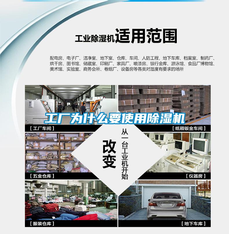 工厂为什么要使用草莓视频APP在线观看
