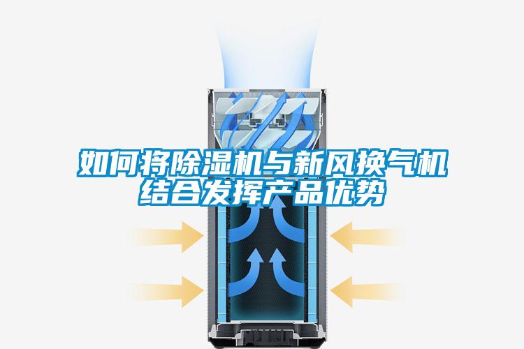如何将草莓视频APP在线观看与新风换气机结合发挥产品优势
