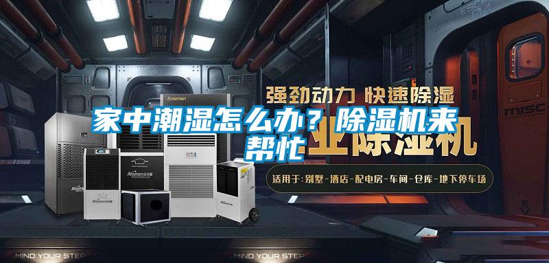 家中潮湿怎么办？草莓视频APP在线观看来帮忙