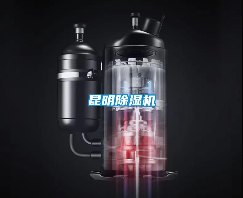 昆明草莓视频APP在线观看