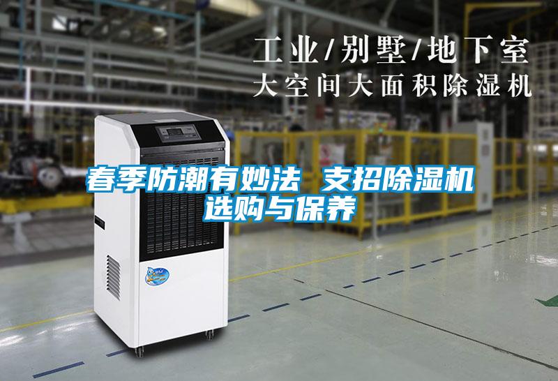 春季防潮有妙法 支招草莓视频APP在线观看选购与保养
