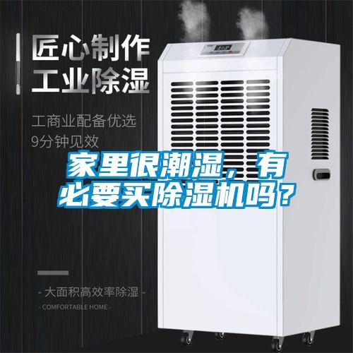 家里很潮湿，有必要买草莓视频APP在线观看吗？