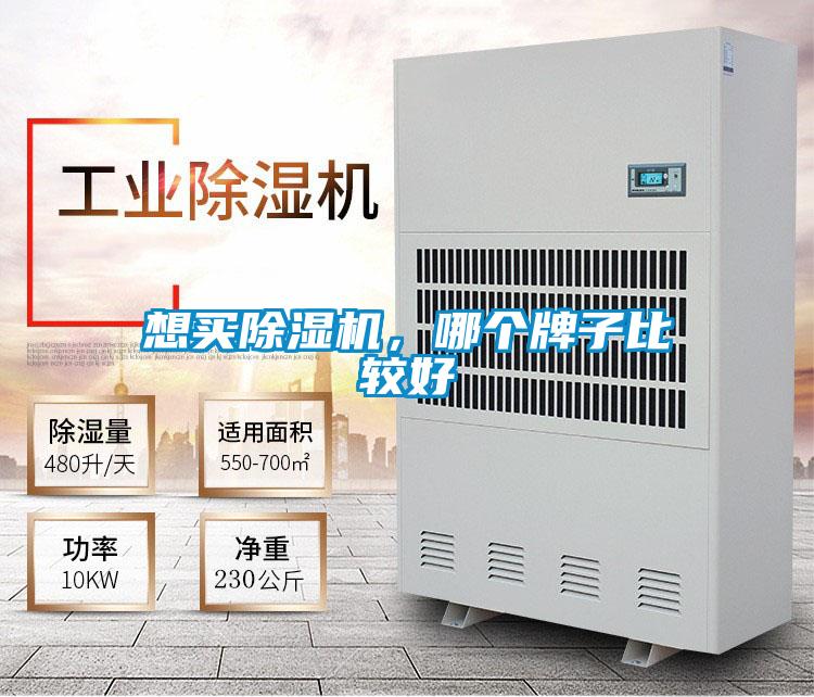 想买草莓视频APP在线观看，哪个牌子比较好