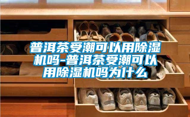 普洱茶受潮可以用草莓视频APP在线观看吗-普洱茶受潮可以用草莓视频APP在线观看吗为什么