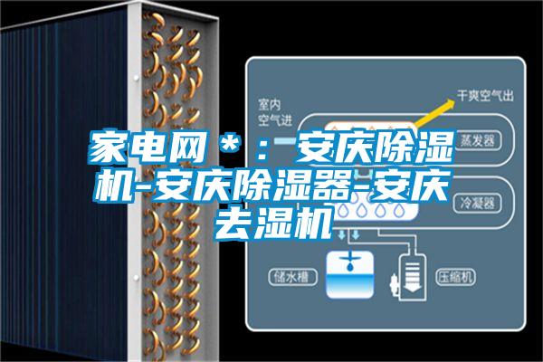 家电网＊：安庆草莓视频APP在线观看-安庆除湿器-安庆去湿机