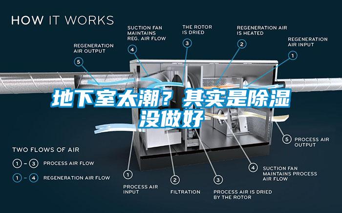 地下室太潮？其实是除湿没做好