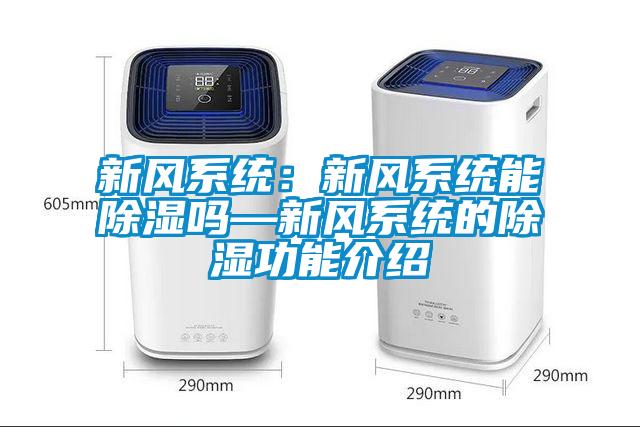 新风系统：新风系统能除湿吗—新风系统的除湿功能介绍