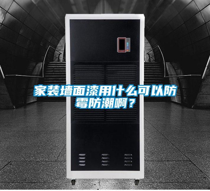 家装墙面漆用什么可以防霉防潮啊？
