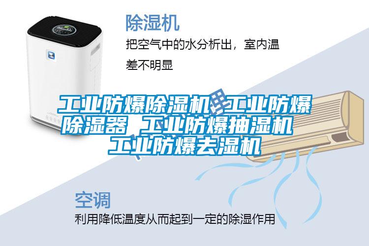 工业防爆草莓视频APP在线观看 工业防爆除湿器 工业防爆抽湿机 工业防爆去湿机
